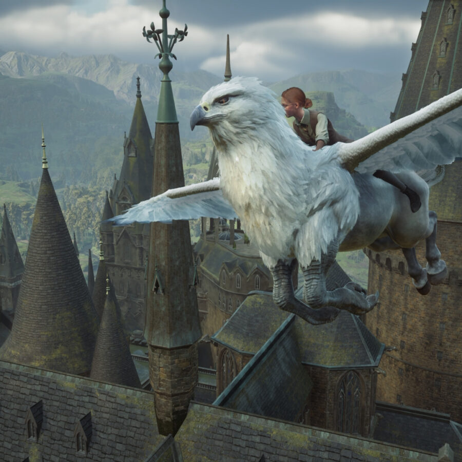 Hogwarts Legacy Castello