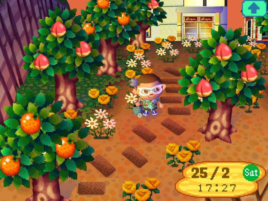 Animal Crossing Wild World